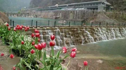 预告:肖战线下活动门票,雪景写真令人追忆