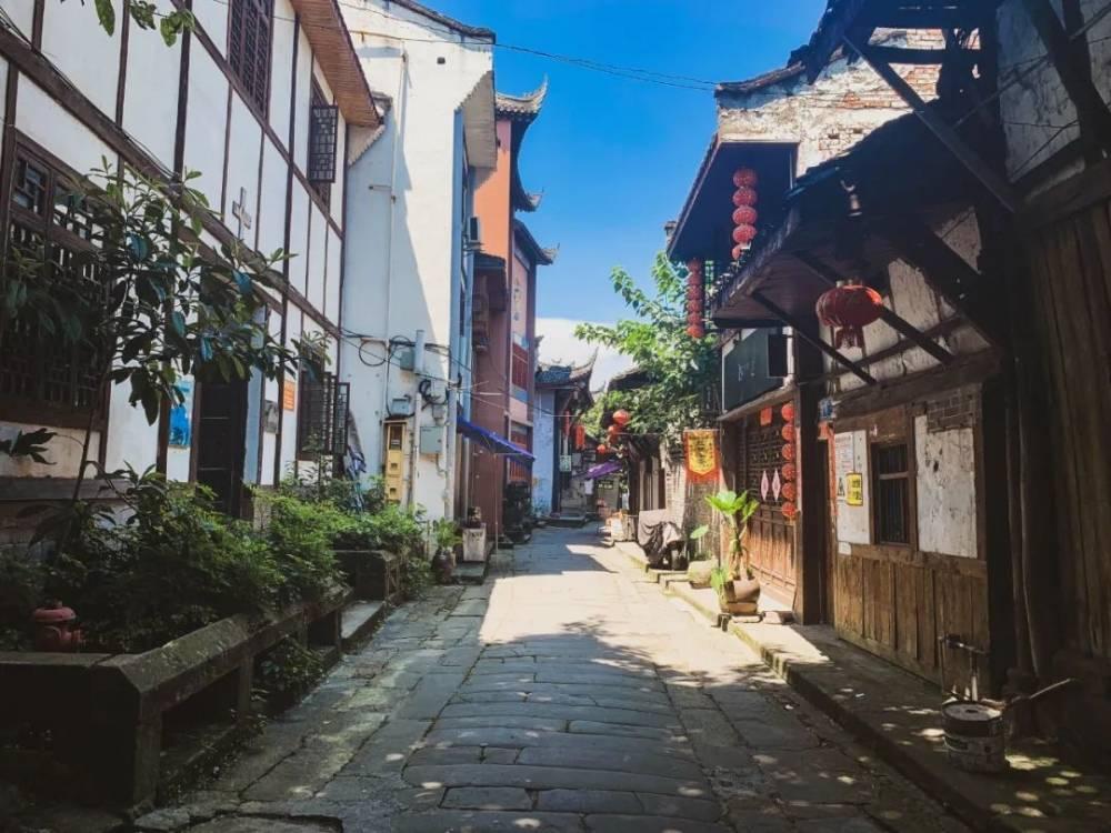 疯狂的小偷